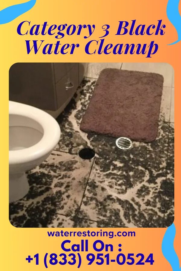 Category 3 Black Water Cleanup in Pine Ridge, AL