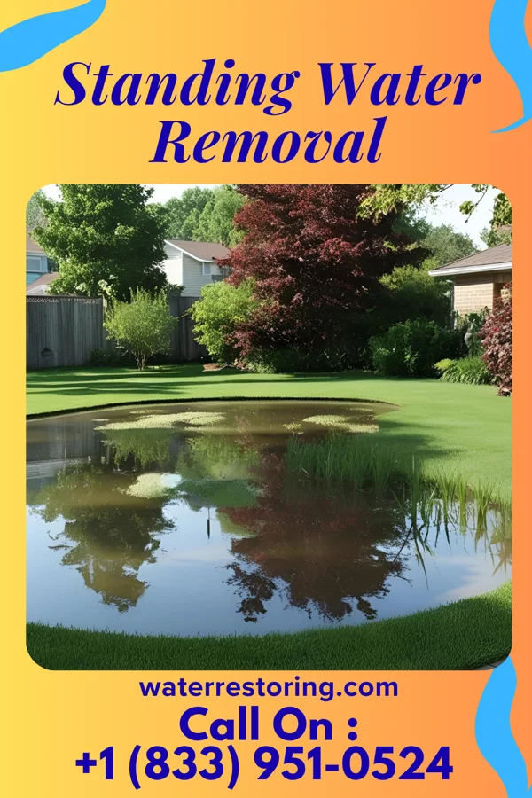 Standing Water Removal in Pine Ridge, AL